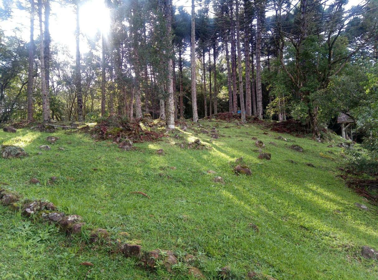 Estalagem Reserva Da Collina Грамаду Экстерьер фото